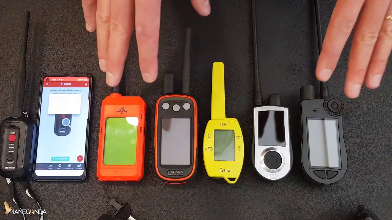 INTRODUZIONE 💚🏆*SATELLITARI PER CANI*🏆💚