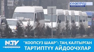 "КООПСУЗ ШААР": ТАҢ КАЛТЫРГАН ТАРТИПТҮҮ АЙДООЧУЛАР\\NewTV