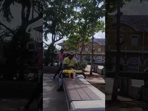 Vida real en el Puerto | Puerto Deportes