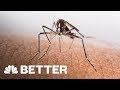 A Better Way To Treat An Insect Bite | Better | NBC News