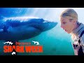 Legendary Great White Shark Comes out of Hiding | Shark Week