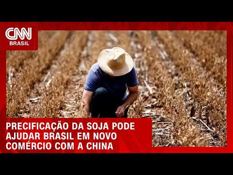Precificar soja pela proteína pode ser caminho para novo comércio com a China | CNN AGRO NEWS