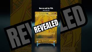 What Will Charizard be Graded by PSA?!