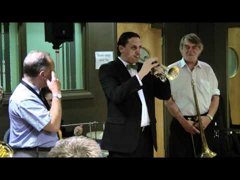 "MY GAL SAL": ANDY SCHUMM'S BIXOLOGISTS (July 9, 2010)