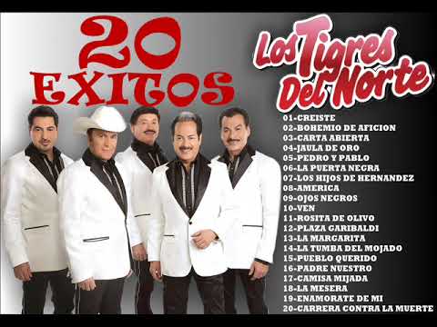 LOS TIGRES DEL NORTE [[20 EXITOS]