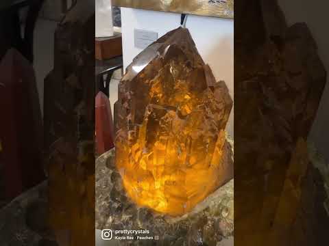 Incredible Citrine piece at Crystalarium in Los Angeles 🦋 #prettycrystals #citrine #crystalbusiness