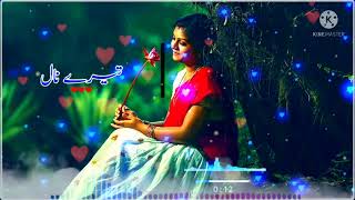 Tere Naal Pyar Ho Gaya-Zaheer Lohar ft Samina Pari