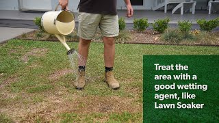 Dry, patchy lawn – What can you do about it