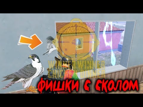 Как компаньон помог мне взять топ 1 ? Где и как найти компаньона ?pubg mobile обновление 0.12.5