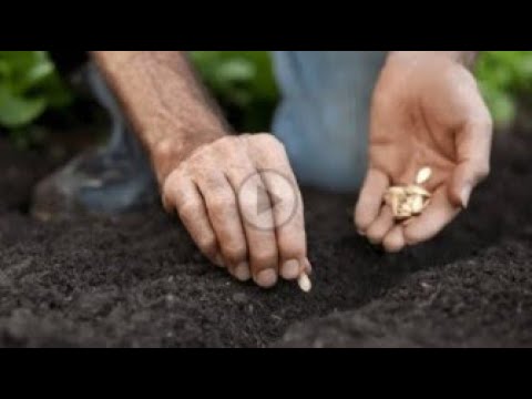 5 gjërat që i shkojnë të vdekurit edhe pas vdekjes së tij! - Dr. Imam Ahmed Kalaja