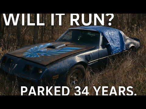 Trans Am? Will It Run? Parked & Forgotten 34 years ago. 
