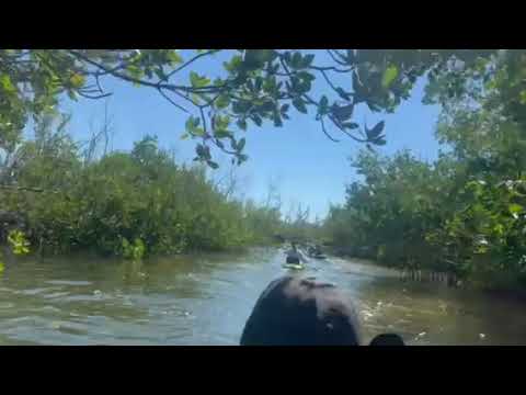 tarpon bay kayak path - near the campground