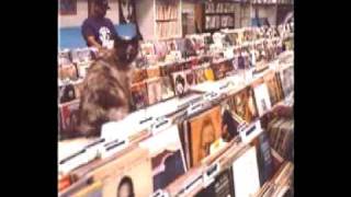 DJ Shadow-Number Song