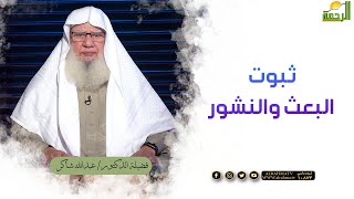 ثبوت البعث والنشور لقاء العقيدة مع فضيلة الدكتور عبد الله شاكر