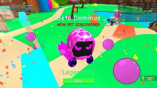 All Codes New Egg Bubble Gum Simulator Magnet Simulator - roblox bubble gum simulator beta dominus legendary pet