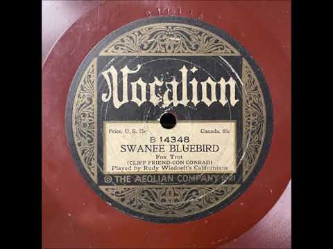 Rudy Wiedoeft's Californians "Swanee Bluebird" 1922 Dance Band 78 RPM