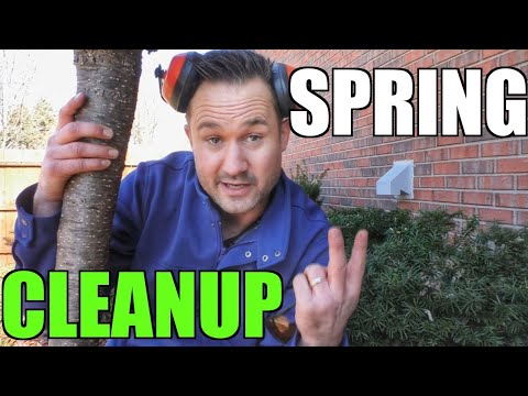 How Much To Charge For A Spring Cleanup? 2025 Lawn Care & Landscaping Business Tips🌳