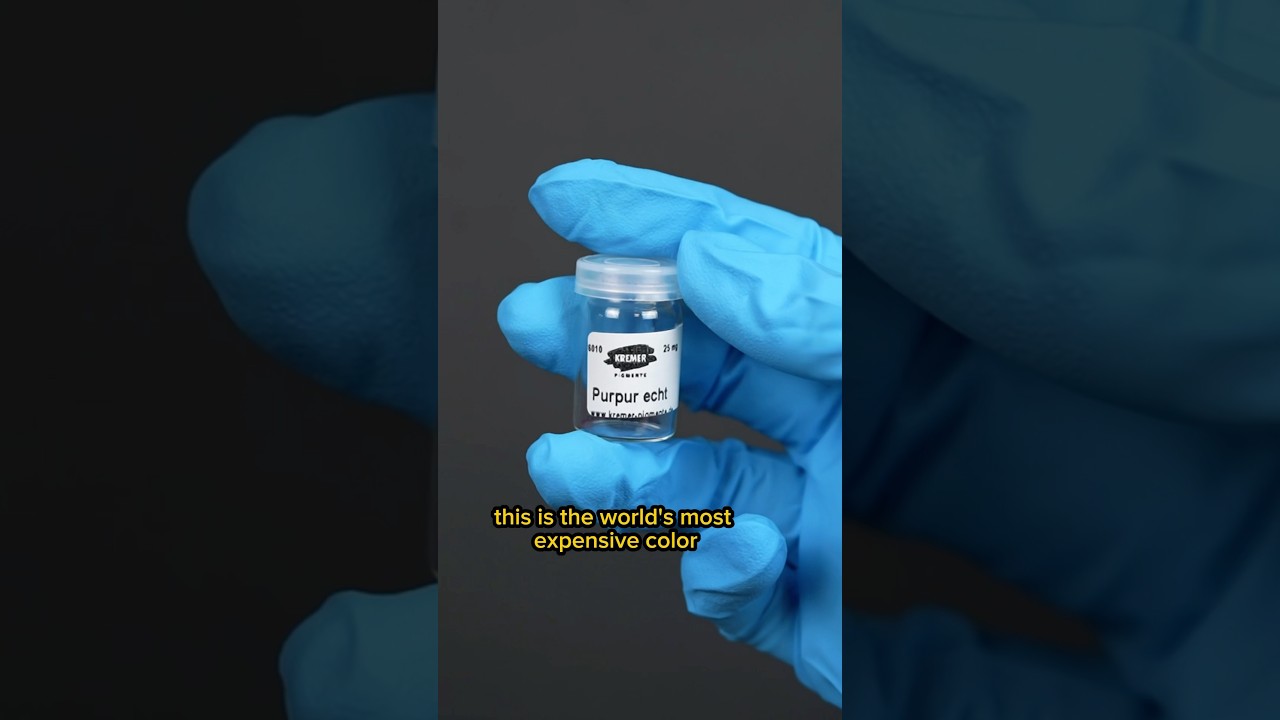 The World’s Most EXPENSIVE Color. ✨💀💜 #arthistory #science #art #paint #painting #history #facts