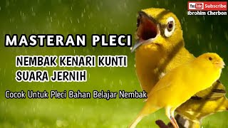 Download lagu MASTERAN PLECI NEMBAK KENARI KUNTI || Suara Jernih Cocok Untuk Pleci Belajar Nembak mp3