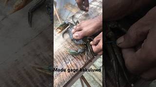 Download lagu Kakuluwek kamuda mp3