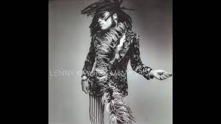 Lenny Kravitz - Fields Of Joy