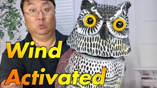 This Fake Owl Scares Away Birds With A Swiveling Head