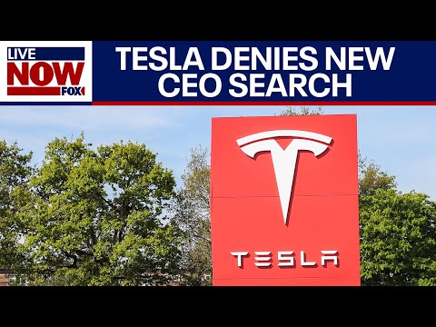 Video | Tesla chair denies report that board is searching for new CEO to replace Elon Musk