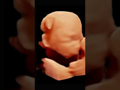 Carlos Enrique Villegas Nuñez-37