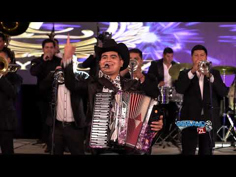 Chuy Lopez Ft. Banda Reina De Culiacan - El May0 "El Alamo Frondoso" (En vivo 2021)