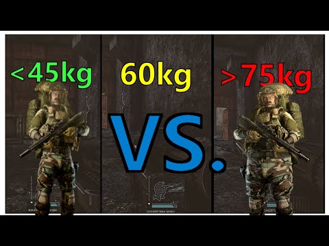 Little Things in Tarkov 11 - 12.4 Weight Guide -  Escape From Tarkov