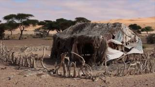 Senegal & Mauritania 2014