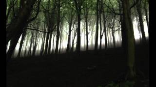 peverelist - roll with the punches (sn_gl edit)