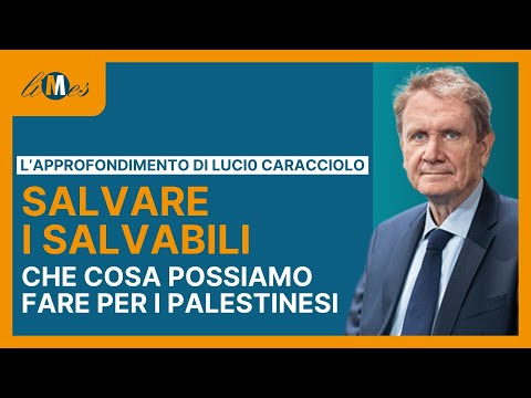 Saving the Savable. What We Can Do for the Palestinians - An in-depth analysis by L. Caracciolo