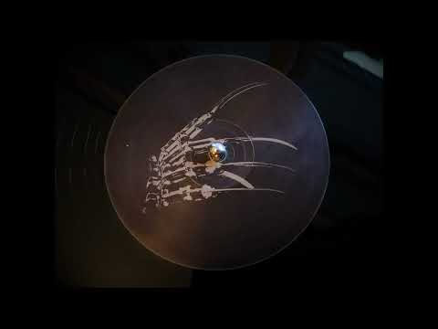 Trends & Boylan - Krueger Feat. Riko (2018)