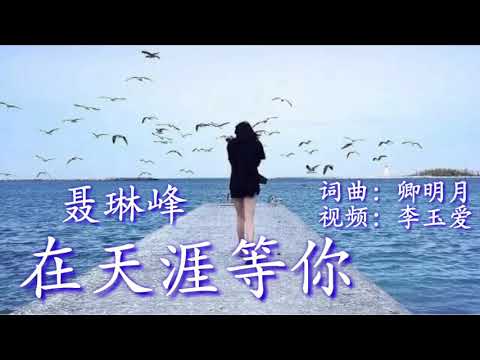 Chờ em đến tận cùng thế giới (Zài tiān yá děng nǐ - 在天涯等你) - Nie Linfeng