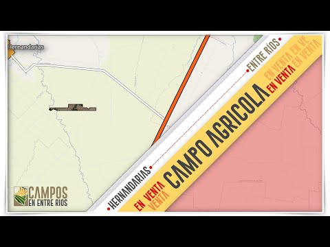 🔔 Venta de Campo Agrícola en Hernandarias (Entre Ríos) | 221 ha – Suelos de Alta Productividad