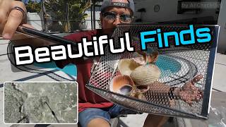 Upgraded Shark Tooth Sifter Review — Beach Sand Scoop Set Worth It?