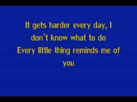 LMFAO- Reminds Me of you Lyrics