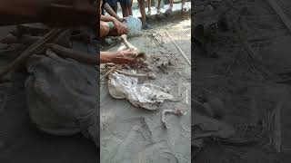 Download lagu VIRAL 😱😱😱 Menemukan Tali Pocong Belum Di Lepas#videoshort #talipocong #trending #laguviraltiktok mp3