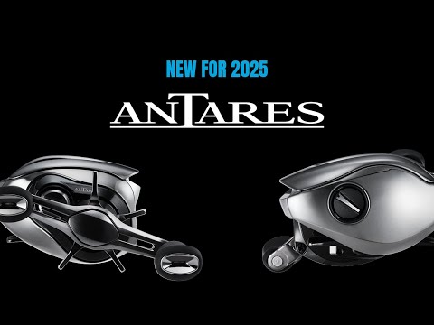 Shimano Antares B Baitcasting Reels - TackleDirect
