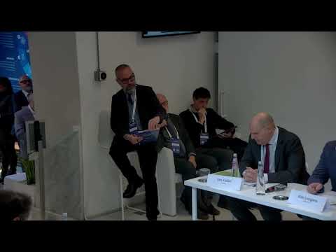 Paolo Ricci - Task Force Italia - 20 gennaio 2026