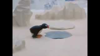 Pingu – “Nooooo”