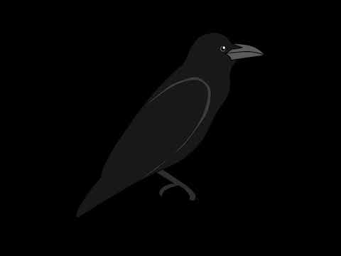 RK X Shaweezy - Crow of the Land