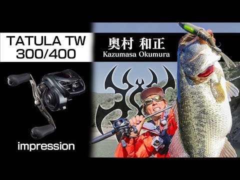 Multiplicator Daiwa Tatula TW 400 LH