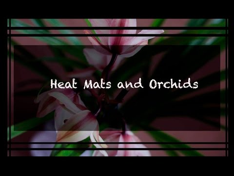 Heat Mats and Orchids