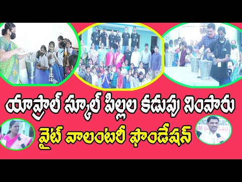 Foundation Activities Video