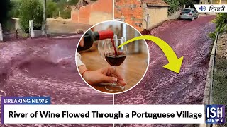River of Wine Flowed Through a Portuguese Village