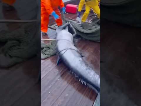 حيوانات ستعود من الانقراض قريباً الجزء الثالث 😱