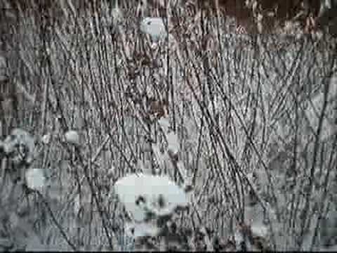 download lagu mp3 mp4 51koodia Rautaiset Linnut 2005, download mp3 51koodia Rautaiset Linnut 2005 free download mp3, download mp3 51koodia Rautaiset Linnut 2005