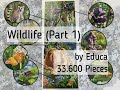  Educa Divočina Wild Life s najväčším počtom dielov na svete 33600 dielov